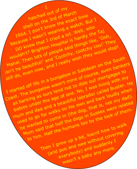 I hatched out of my shell on the 3rd of March 1964. I don’t know the exact time because I wasn’t wearing a watch. But I DO know that I cried a lot. Well, who wouldn’t? Brighton Hospital is hardly the Taj Mahal. Then lots of people said things like, ‘Ooh, isn’t he beautiful!’ and ‘Cootchy, cootchy coo!’ They still do, even now, and I really wish they would stop!

I started off life in a bungalow in Saltdean on the South Coast. The bungalow wasn’t mine of course, even bankers as barking as ours tend not to dole out mortgages to babies under the age of one. No, I was living with my mum and dad and a beautiful labrador called Buster. He used to go for walks on his own and bark loudly when he wanted to come in (the dog, that is, not my dad). Mum said that half the dogs in Sussex were related to him. Half the humans too by the look of them.

Then I grew up a bit, learnt how to walk (and poo and wee without covering everybody) and suddenly I wasn’t a baby any more.